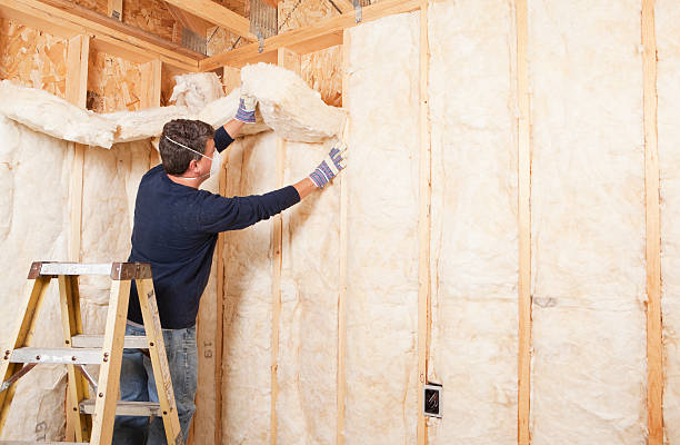 Best Insulation Replacement  in USA